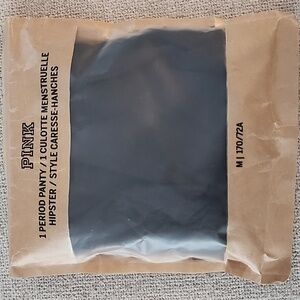 NWT, PINK Period Panty, Hipster